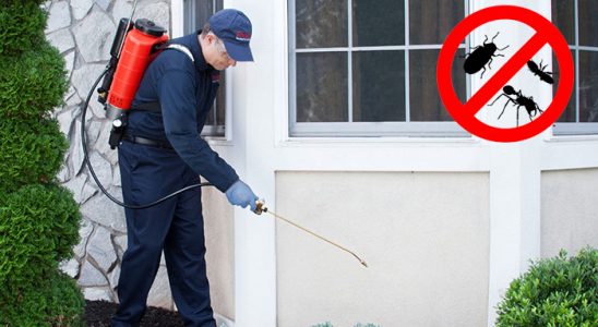 Susuz Fare İlaçlama böcek ilaçlama ve haşere kontrolü — ilaclama-tr.com